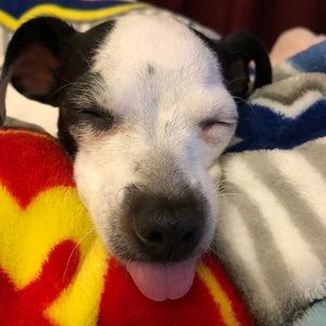 Meet your Posher, Jodi